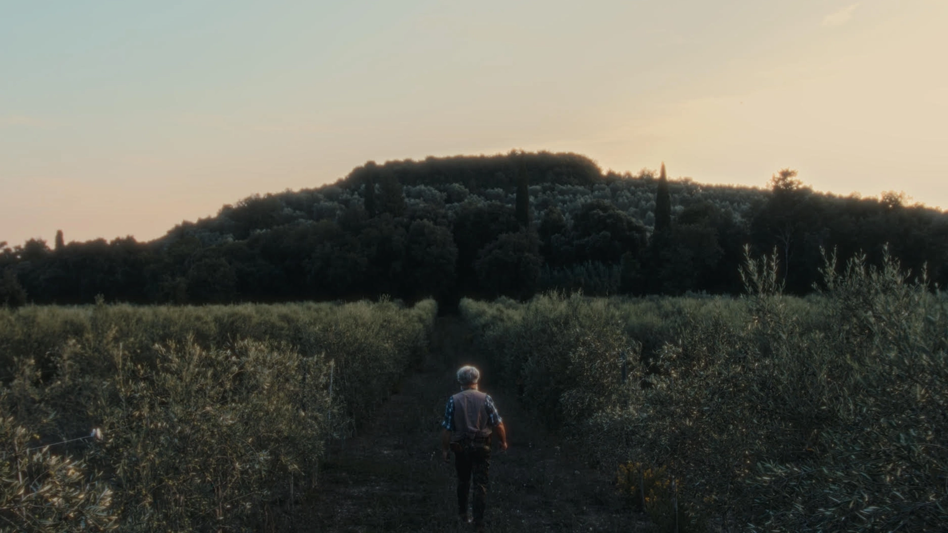 DURLINDANA TERRITORIO